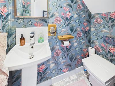 Picture 20